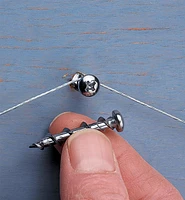 Wall Dog Screws