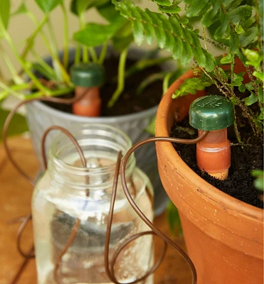 Automatic Plant Waterers