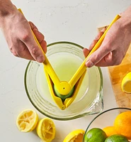 Lemon & Lime Juicer
