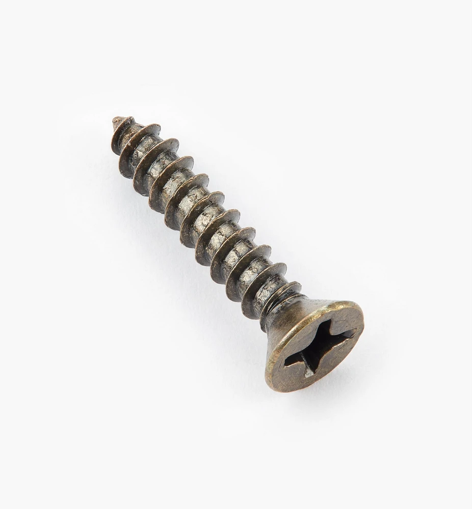 Finished Steel Screws