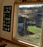Feather Friendly Window Collision Tape