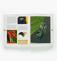The Bees in Your Backyard