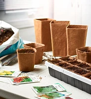 Pots d’enracinement