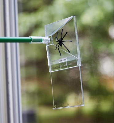 Bug Trapper