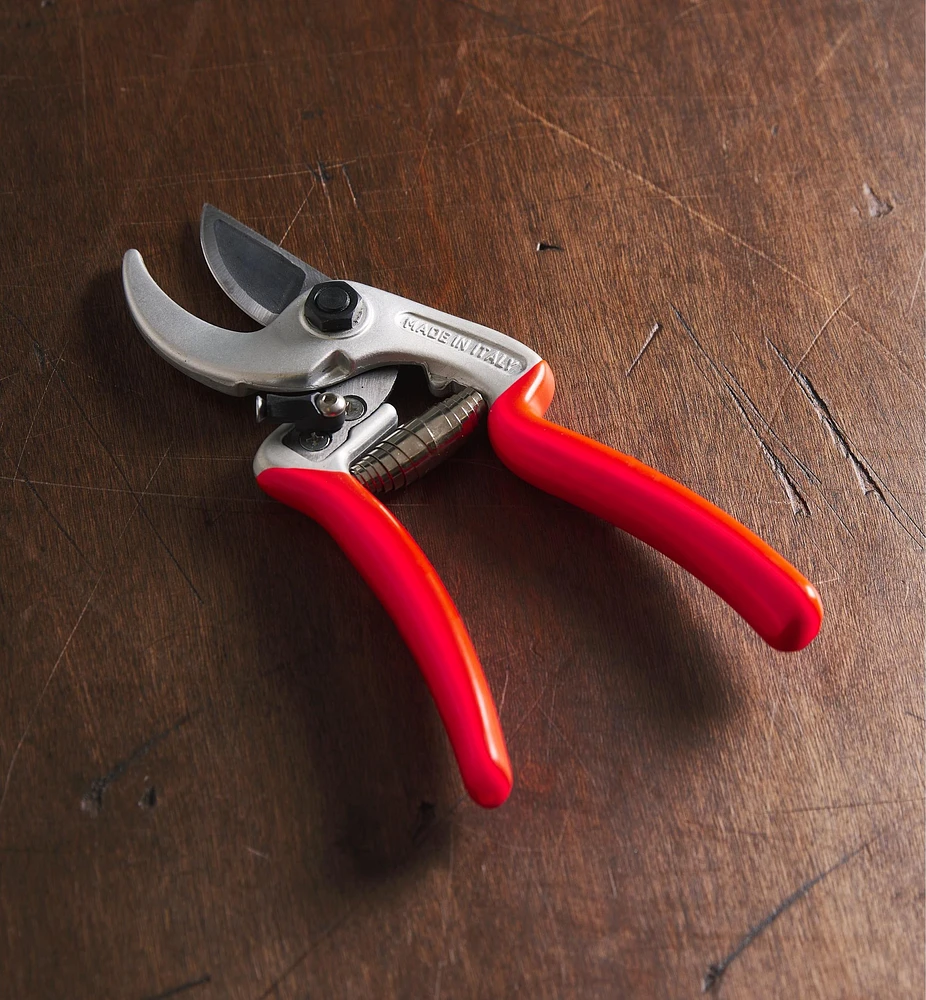 Castellari Curved-Anvil Pruner