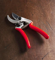 Castellari Curved-Anvil Pruner