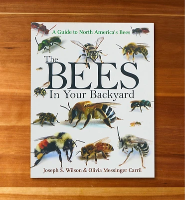 The Bees in Your Backyard