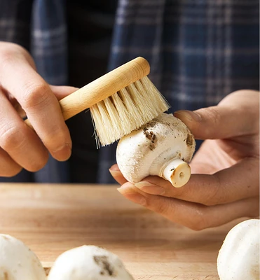 Brosse à champignons
