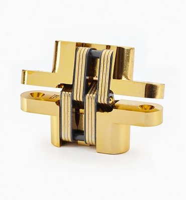SOSS 4 5/8" Invisible Hinge
