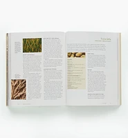 The Seed Garden – The Art and Practice of Seed Saving