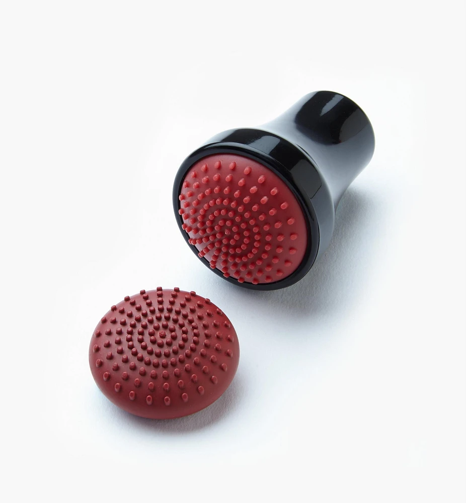 Brosse à récurer magnétique