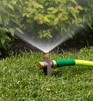 In-Line Spot Sprinkler