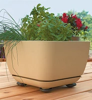 Pot Pads