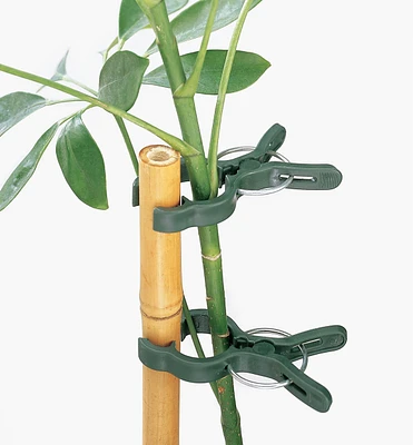 Plant Clips