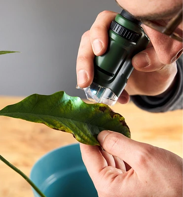 Pocket Microscope