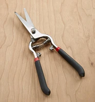 Stainless-Steel Pruning Shears
