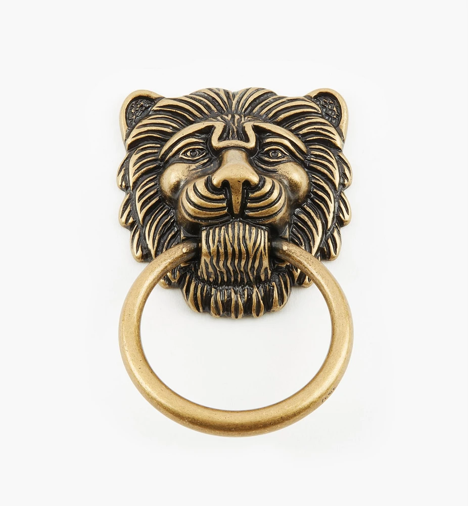 Lion's Head Ring Pulls