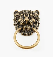 Lion's Head Ring Pulls