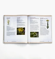 A Garden for the Rusty-Patched Bumblebee: Creating Habitat for Native Pollinators – Ontario and Great Lakes Edition