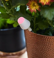 Sonde d'humidité