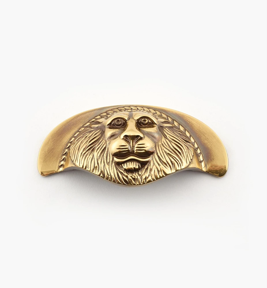Poignée à tête de lion