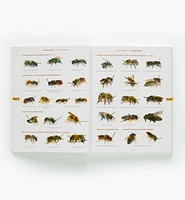 The Bees in Your Backyard