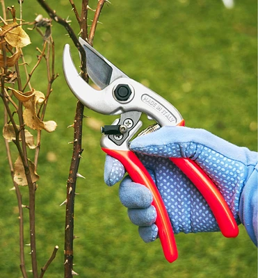 Castellari Curved-Anvil Pruner