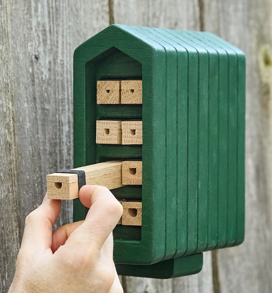 Solitary Bee Home