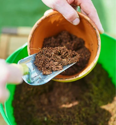 Coir Block