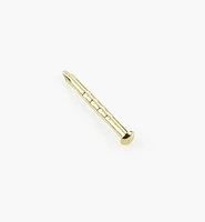 Brass-Plated Escutcheon Pins