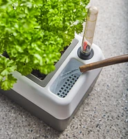 Self-Watering Windowsill Planter