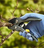 Ratcheting Hand Pruner