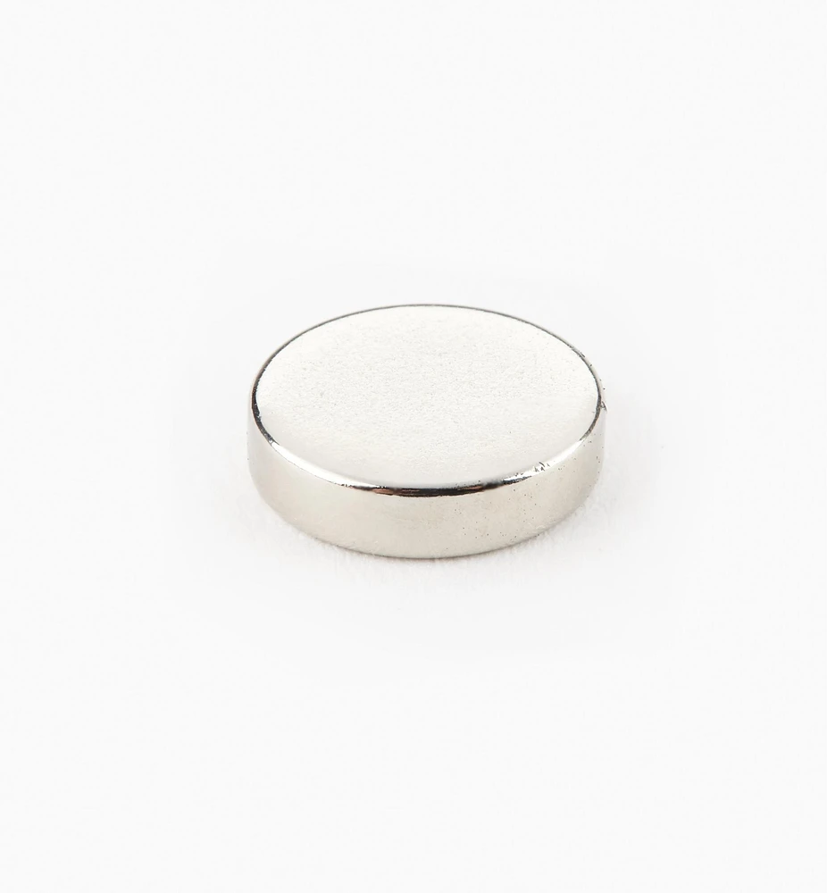 Rare-Earth Circular Magnets