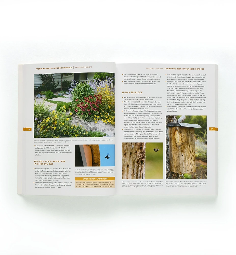 The Bees in Your Backyard