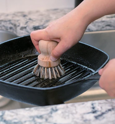 Scouring Brush