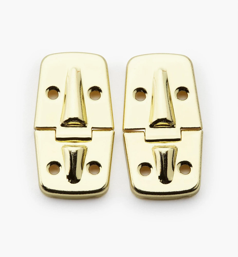 Case Hinges
