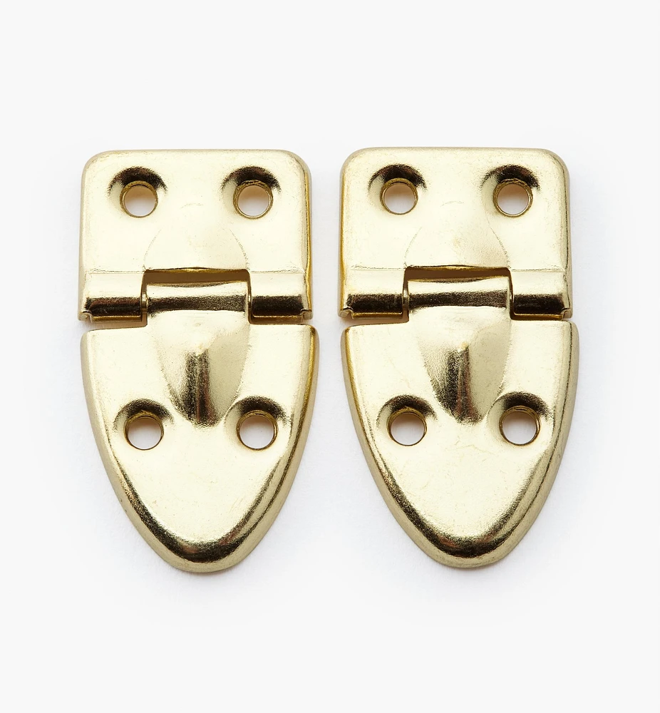 Case Hinges