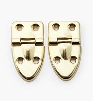 Case Hinges