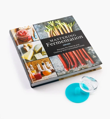 Fermenting for Beginners