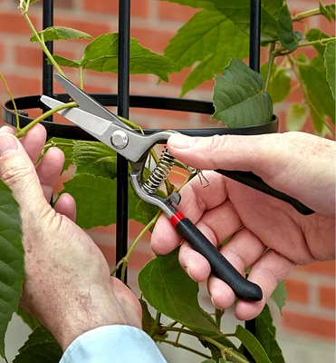 Stainless-Steel Pruning Shears