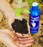 Gloves in a Bottle