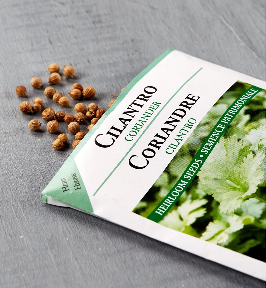 OSC Herb Seed Packets