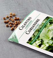 OSC Herb Seed Packets
