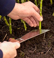 Harvest Knife