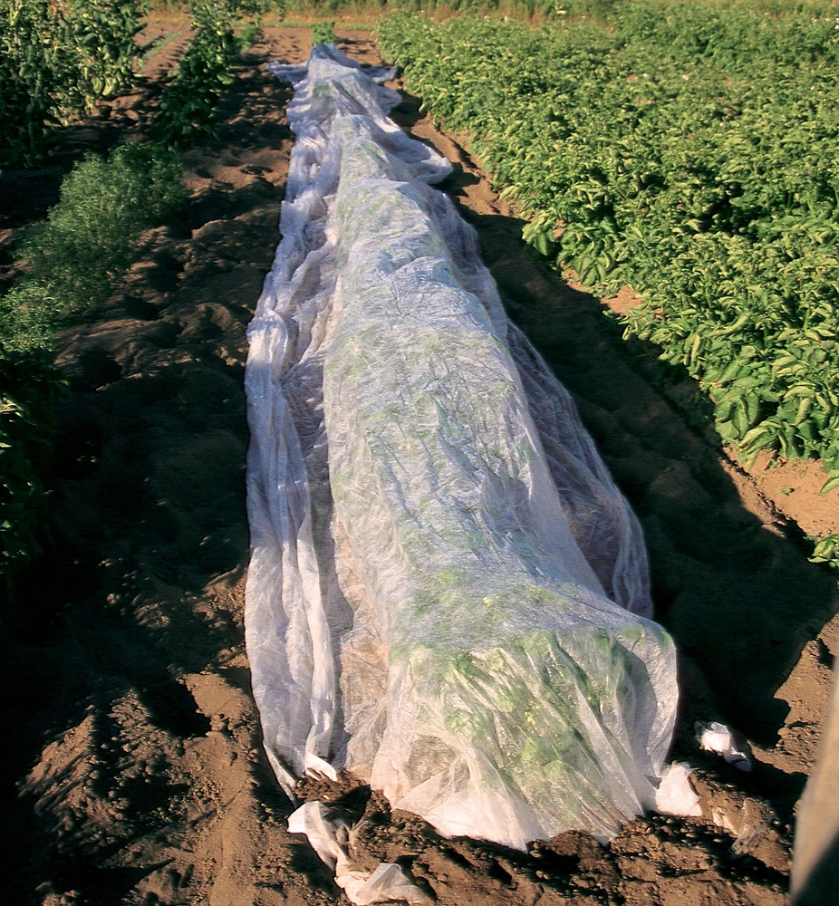 Floating Row Cover