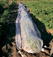 Floating Row Cover
