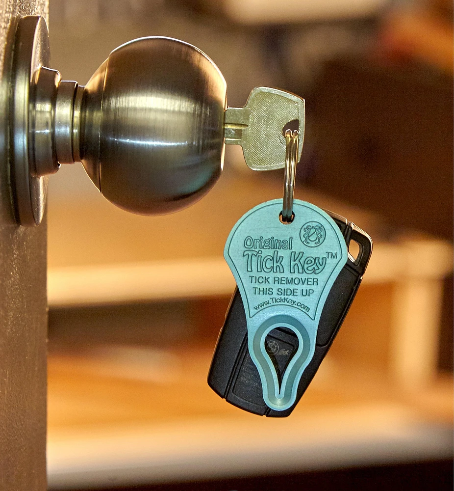 Trio d'extracteurs de tiques Tick Key