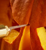 Pumpkin Carving Set