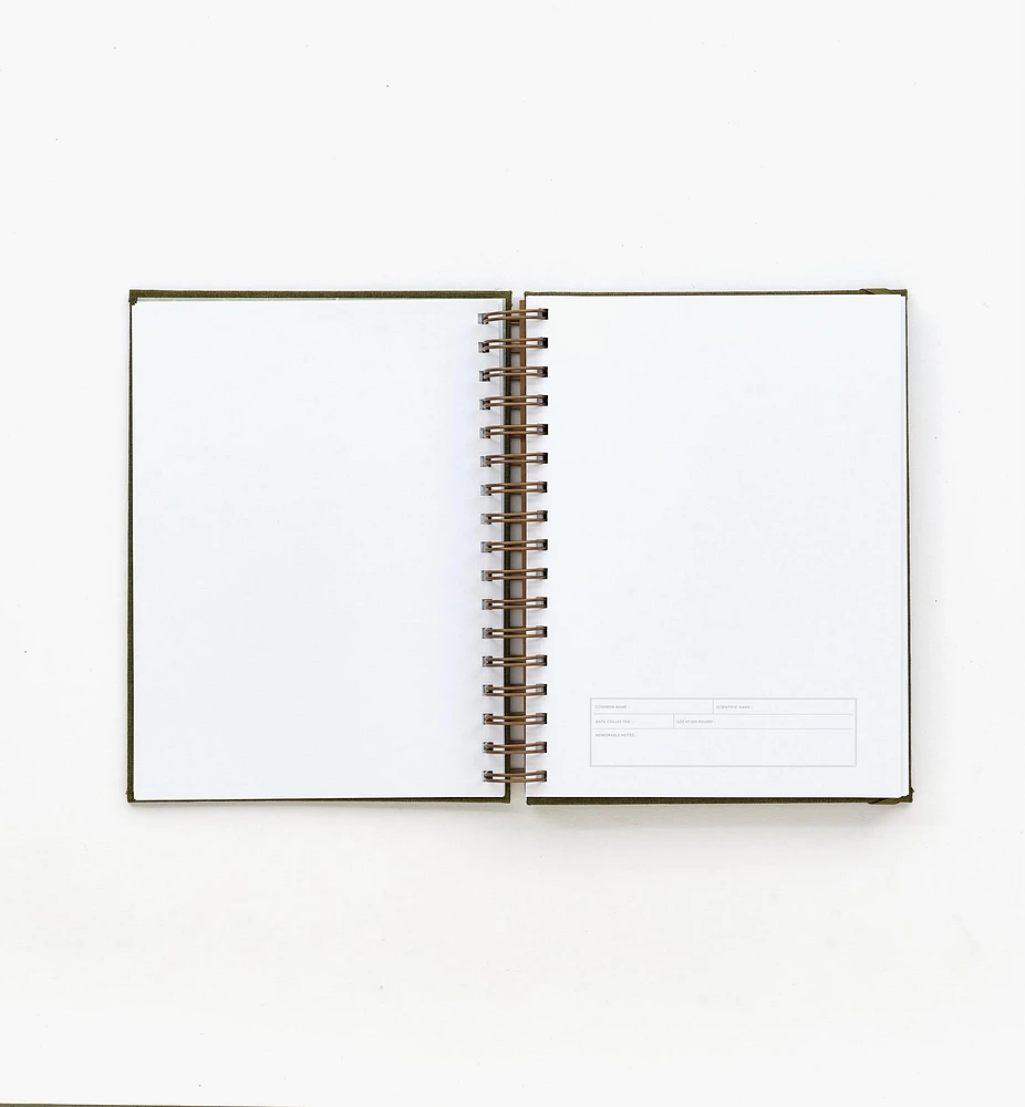 Herbarium Journal