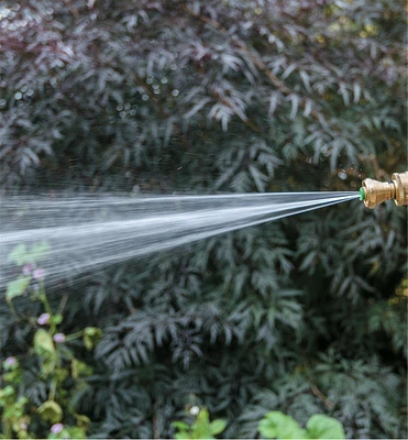 Little Big Shot Nozzle